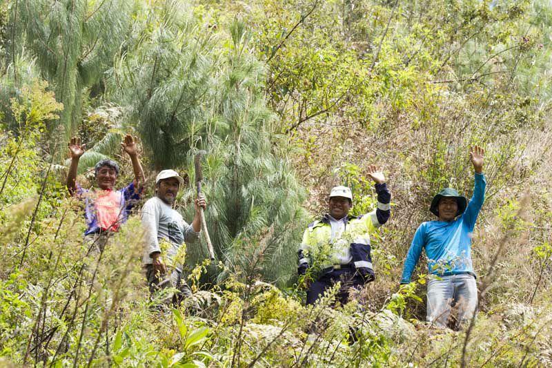 Peru Yaupi